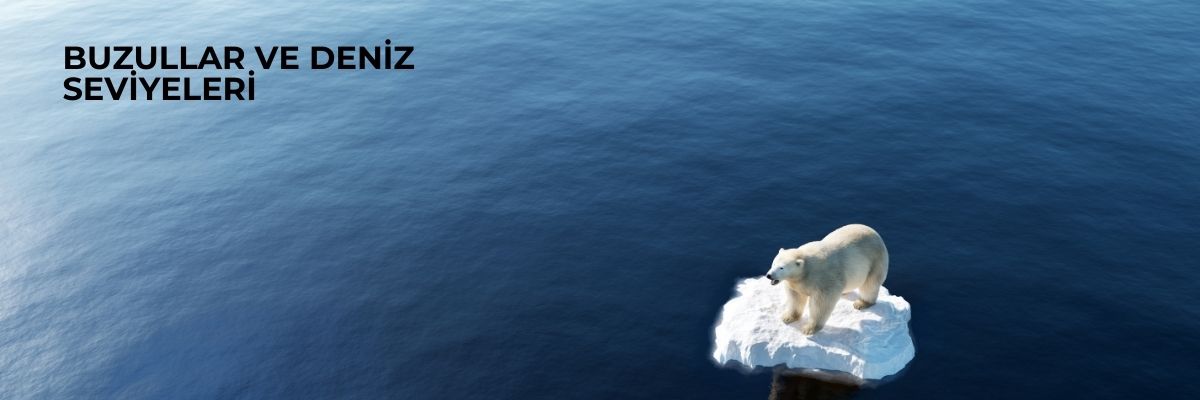 Buzullar ve Deniz Seviyeleri