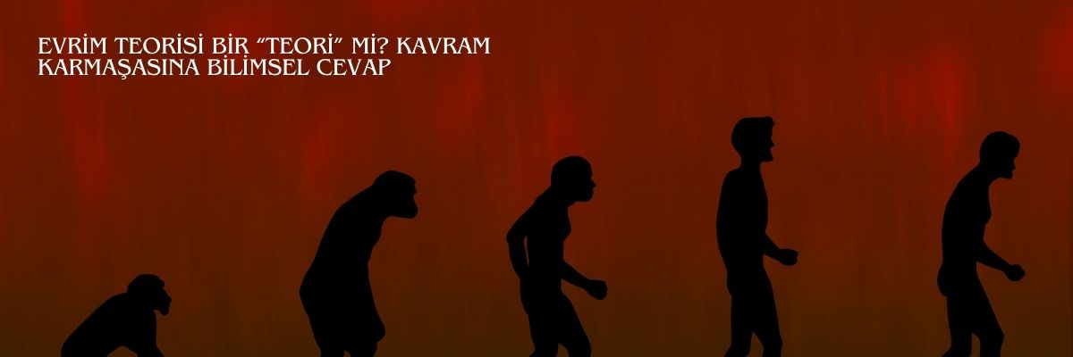 Evrim Teorisi Bir “Teori mi Kavram Karmaşasına Bilimsel Cevap