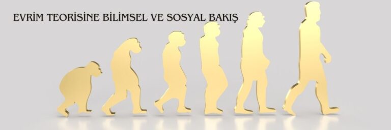 Evrim Teorisine Bilimsel ve Sosyal Bakış