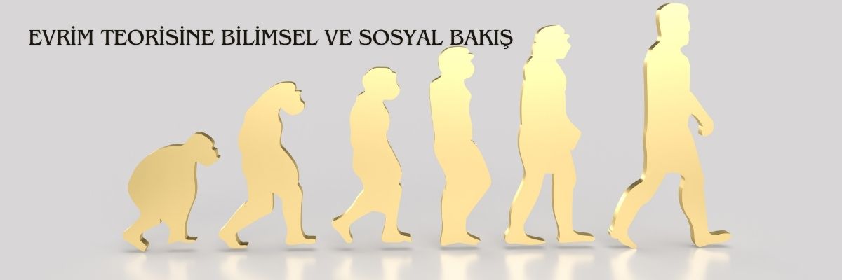 Evrim Teorisine Bilimsel ve Sosyal Bakış