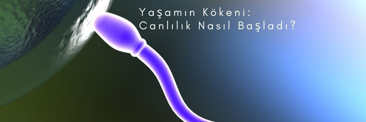 Yaşamın Kökeni Canlılık Nasıl Başladı