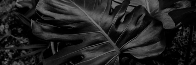 Karanlık Madde Nedir ve Neden Önemlidir