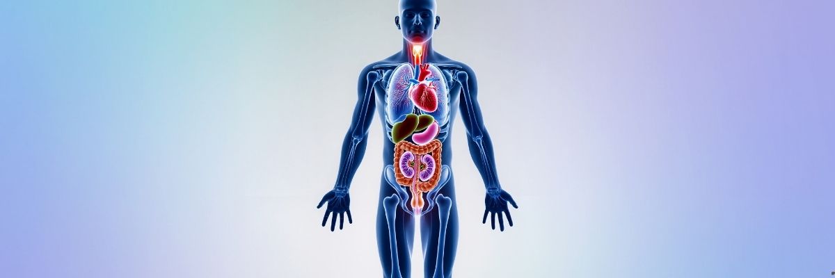 Mizah Yoluyla Bilim Anlatımı Ne Kadar Etkili